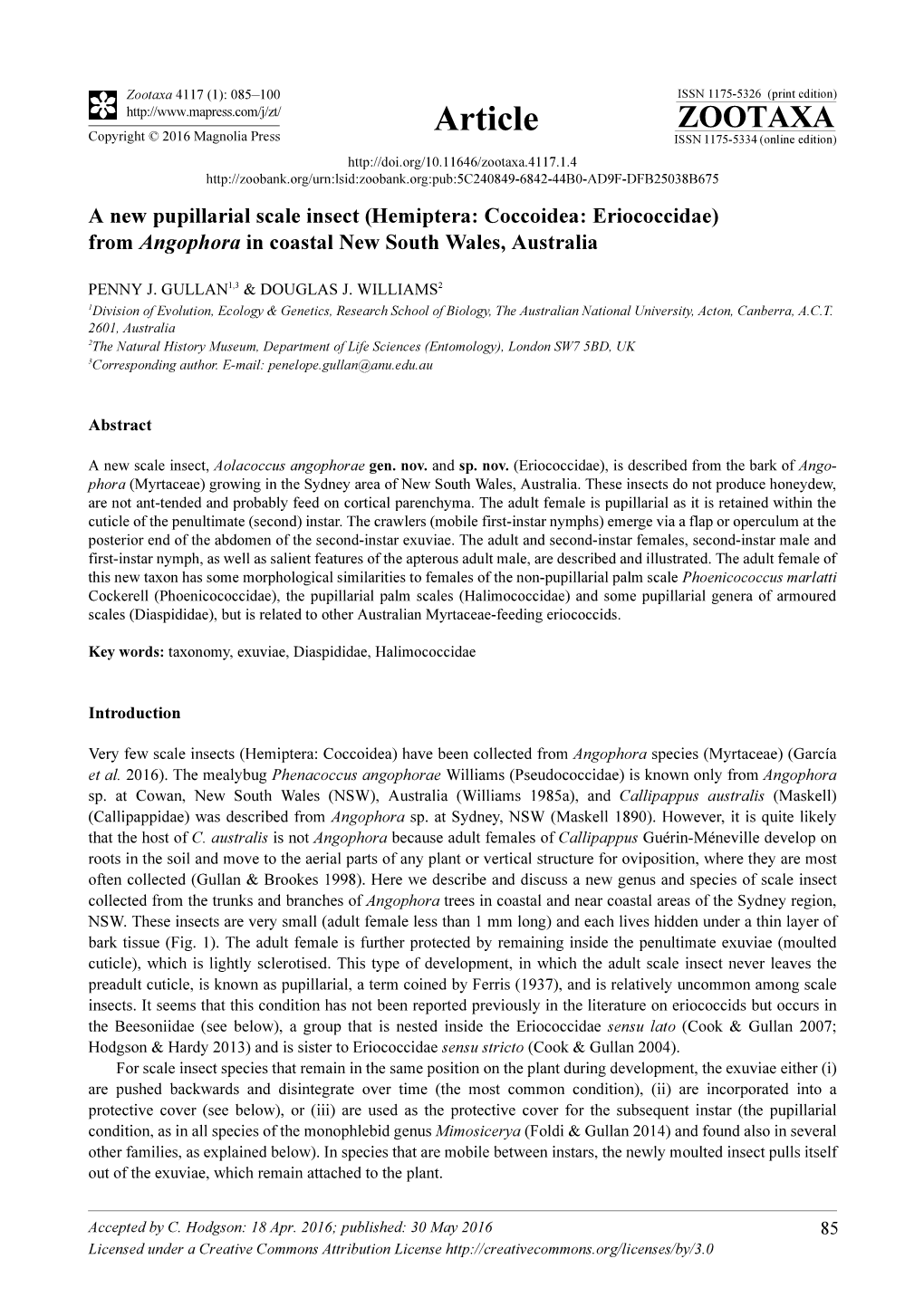 A New Pupillarial Scale Insect (Hemiptera: Coccoidea: Eriococcidae) from Angophora in Coastal New South Wales, Australia