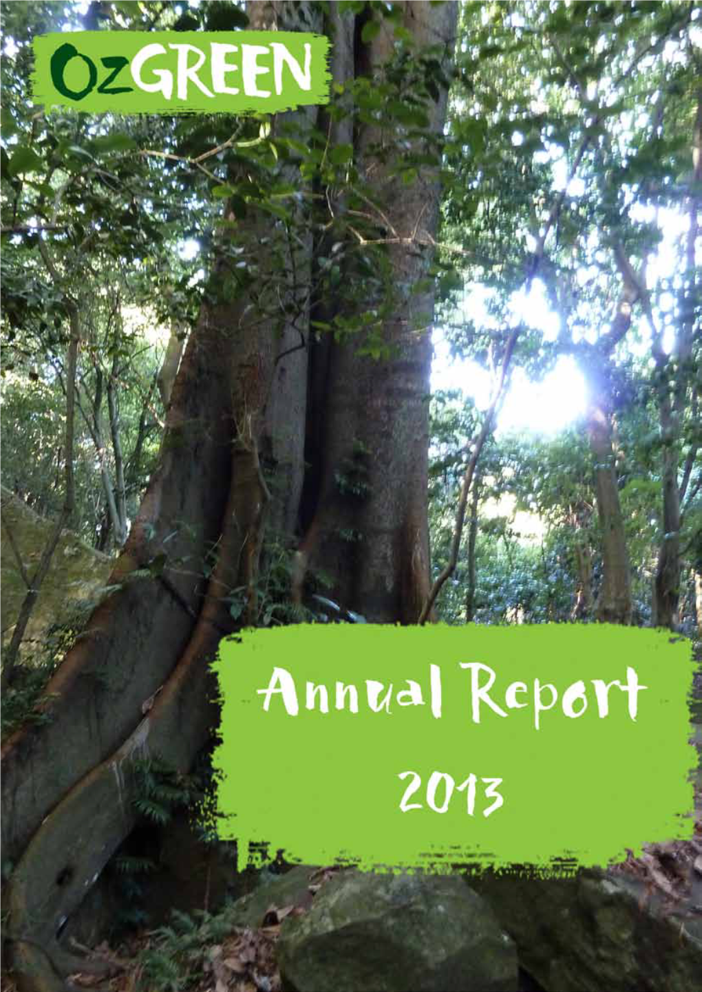 2013 Annual Report