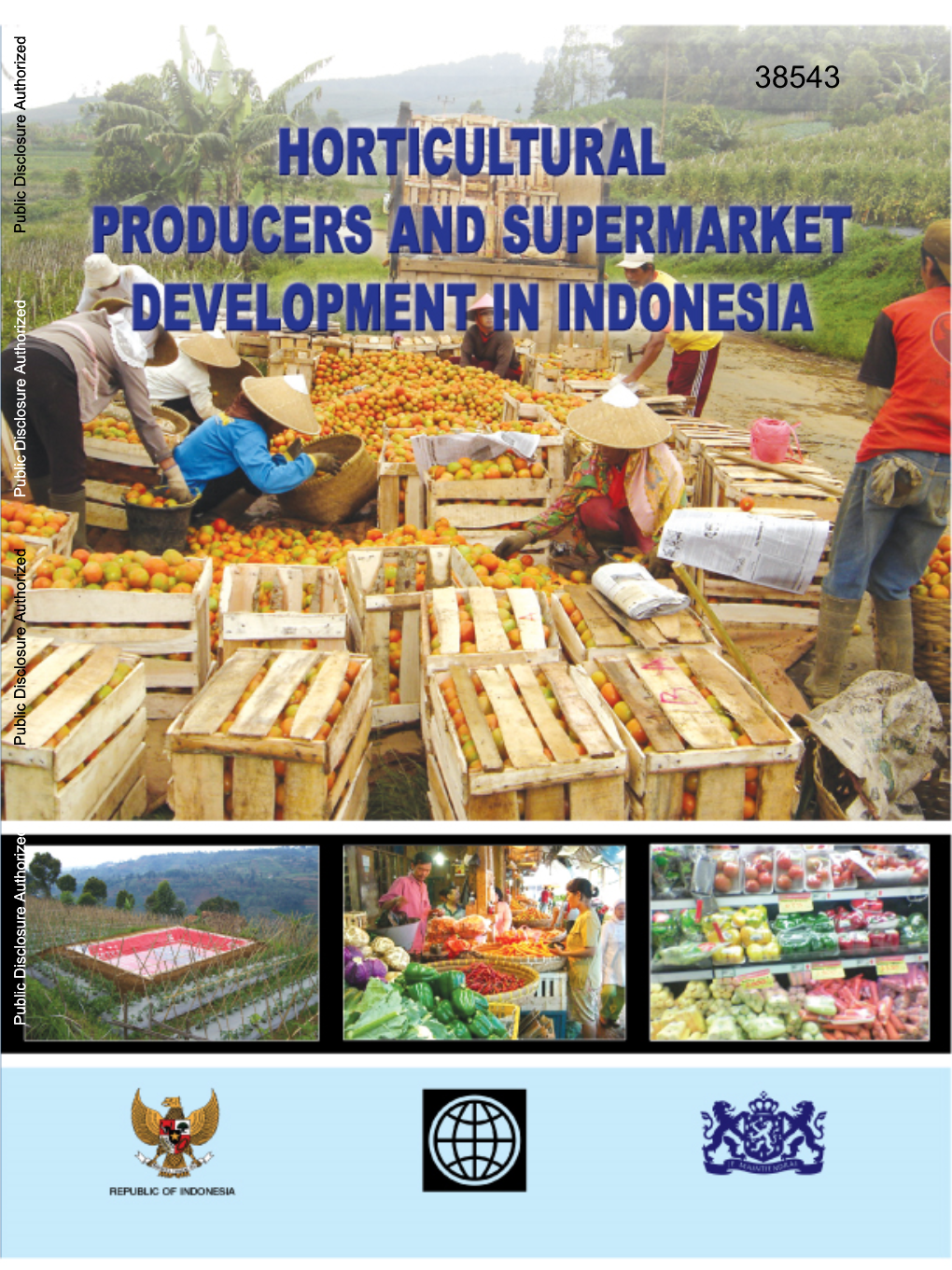 Horticultural Producers and Supermarket Development in Indonesia
