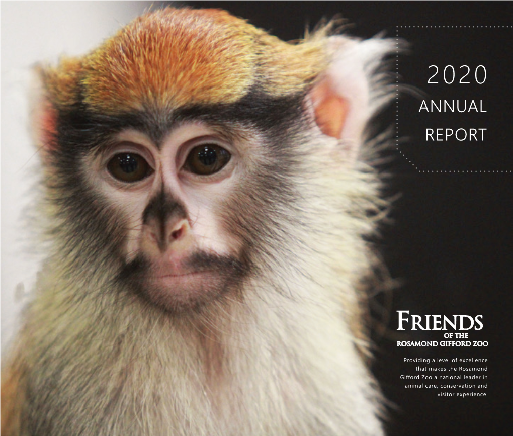 2020 Annual Report