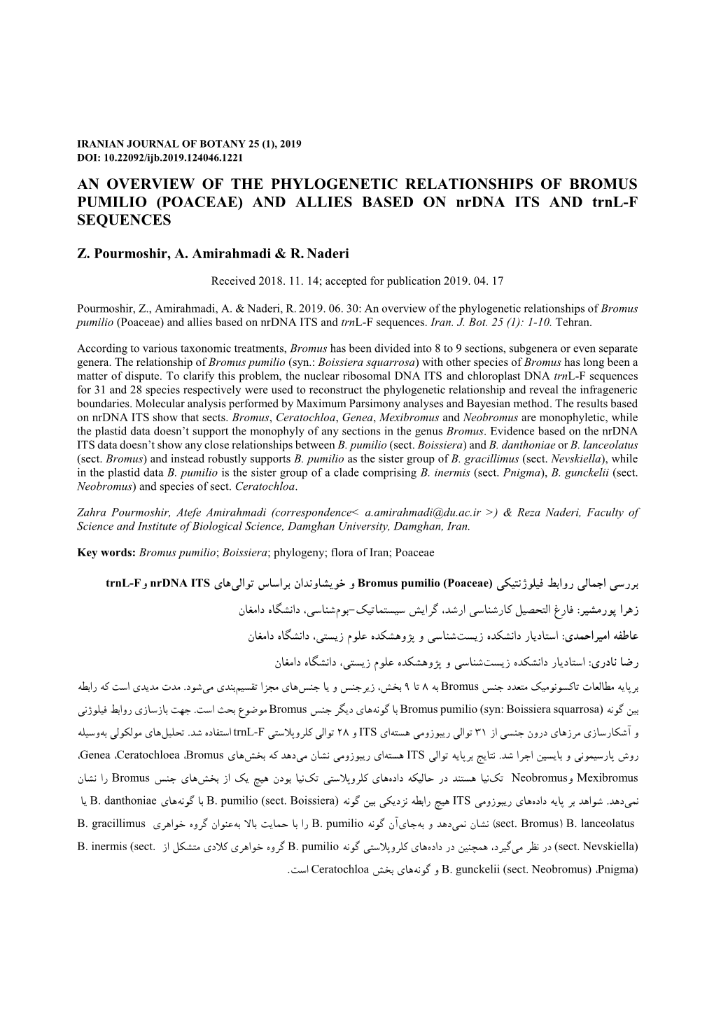 POACEAE) and ALLIES BASED on Nrdna ITS and Trnl-F SEQUENCES