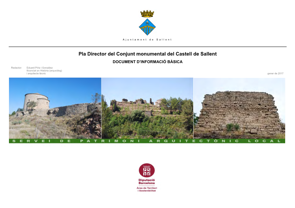 Pla Director Del Castell De Sallent