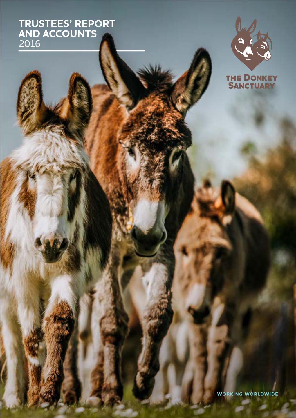 The Donkey Sanctuary Trustees' Report and Accounts 2016