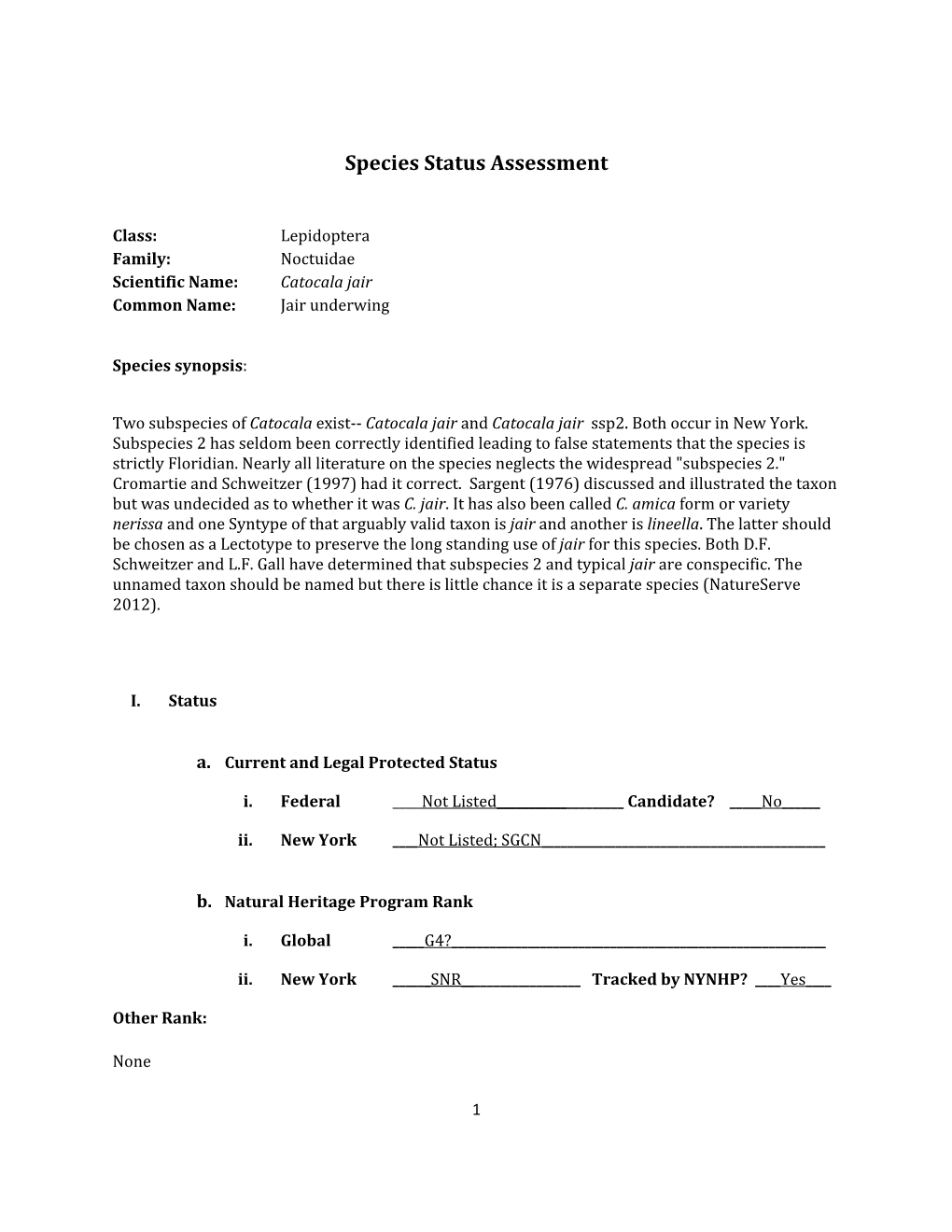 Species Assessment for Jair Underwing