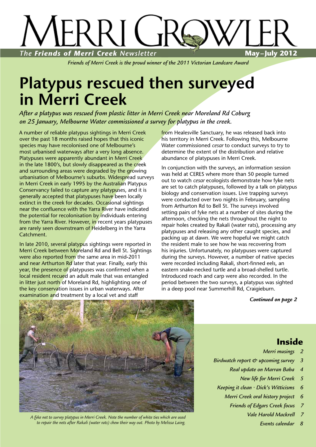 Platypus Rescued Then Surveyed in Merri Creek