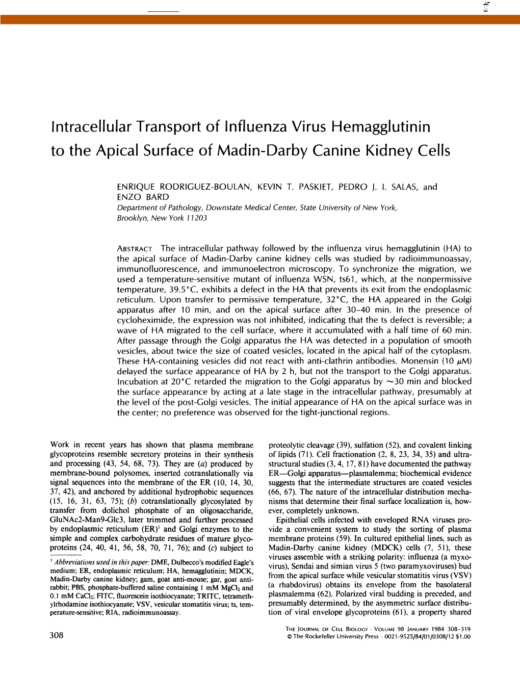 Intracellular Transport of Influenza Virus Hemagglutinin to the Apical Surface of Madin-Darby Canine Kidney Cells