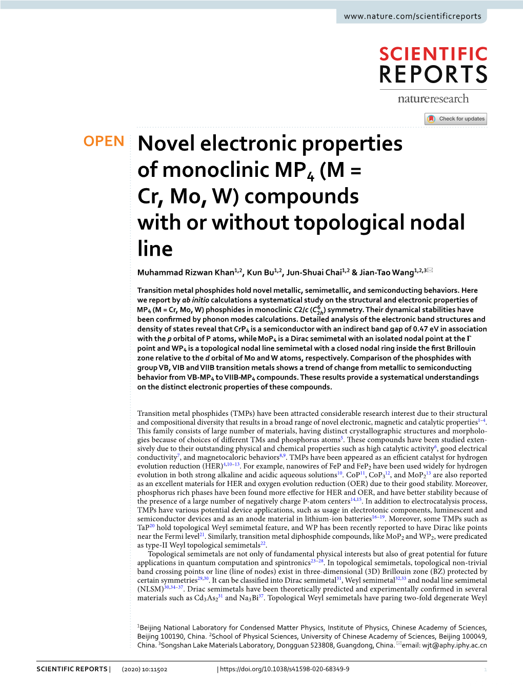 Novel Electronic Properties of Monoclinic