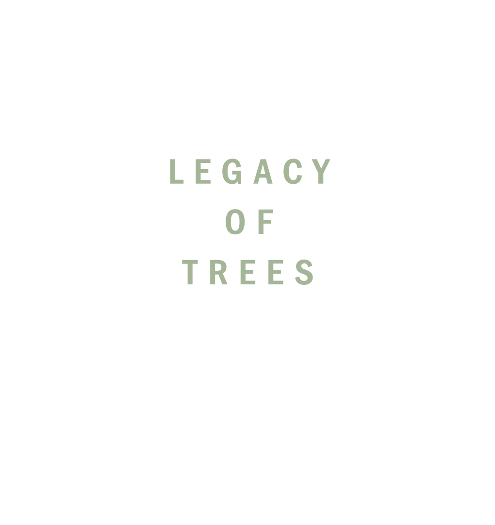 Legacy of Trees Excerpt