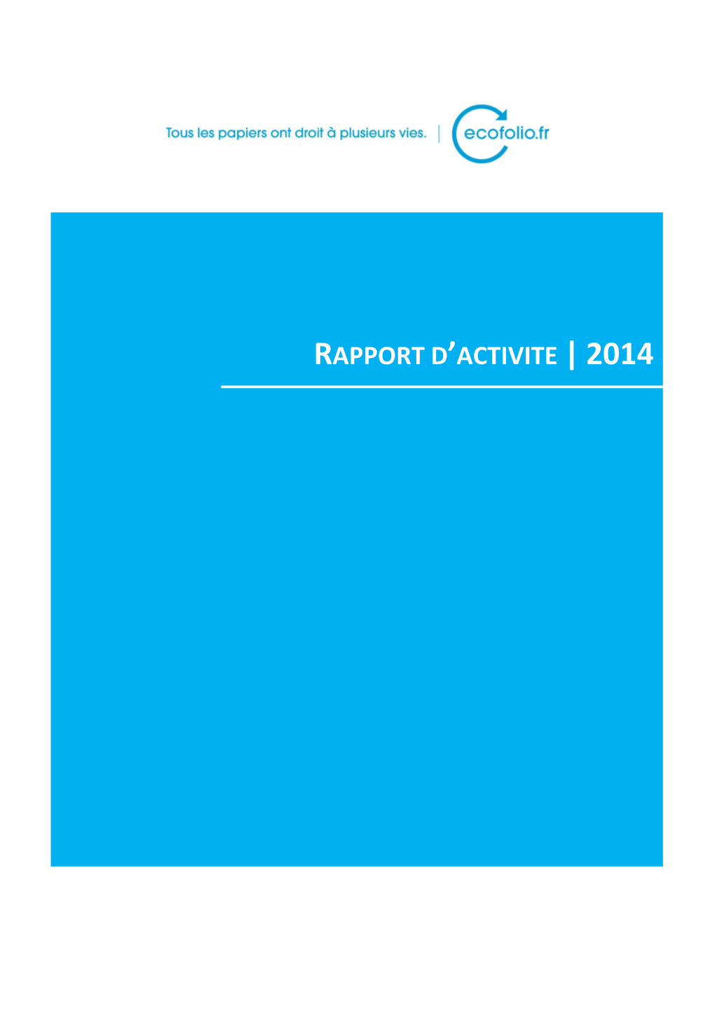 Rapport D'activite |2014