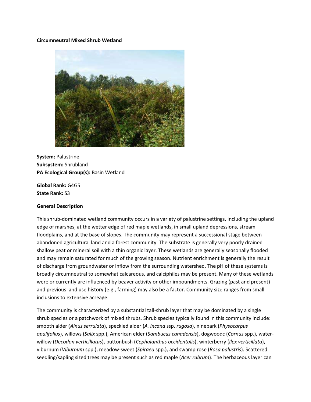 Circumneutral Mixed Shrub Wetland System