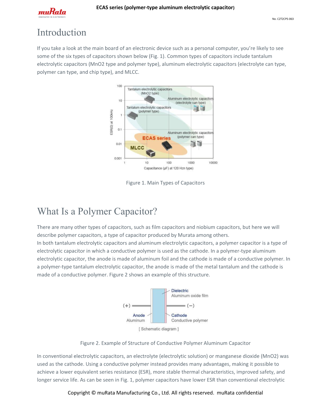 Introduction What Is a Polymer Capacitor?