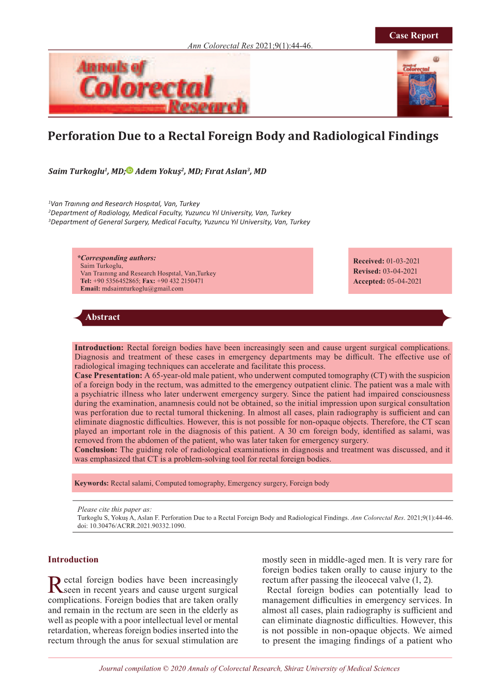 Perforation Due to a Rectal Foreign Body and Radiological Findings