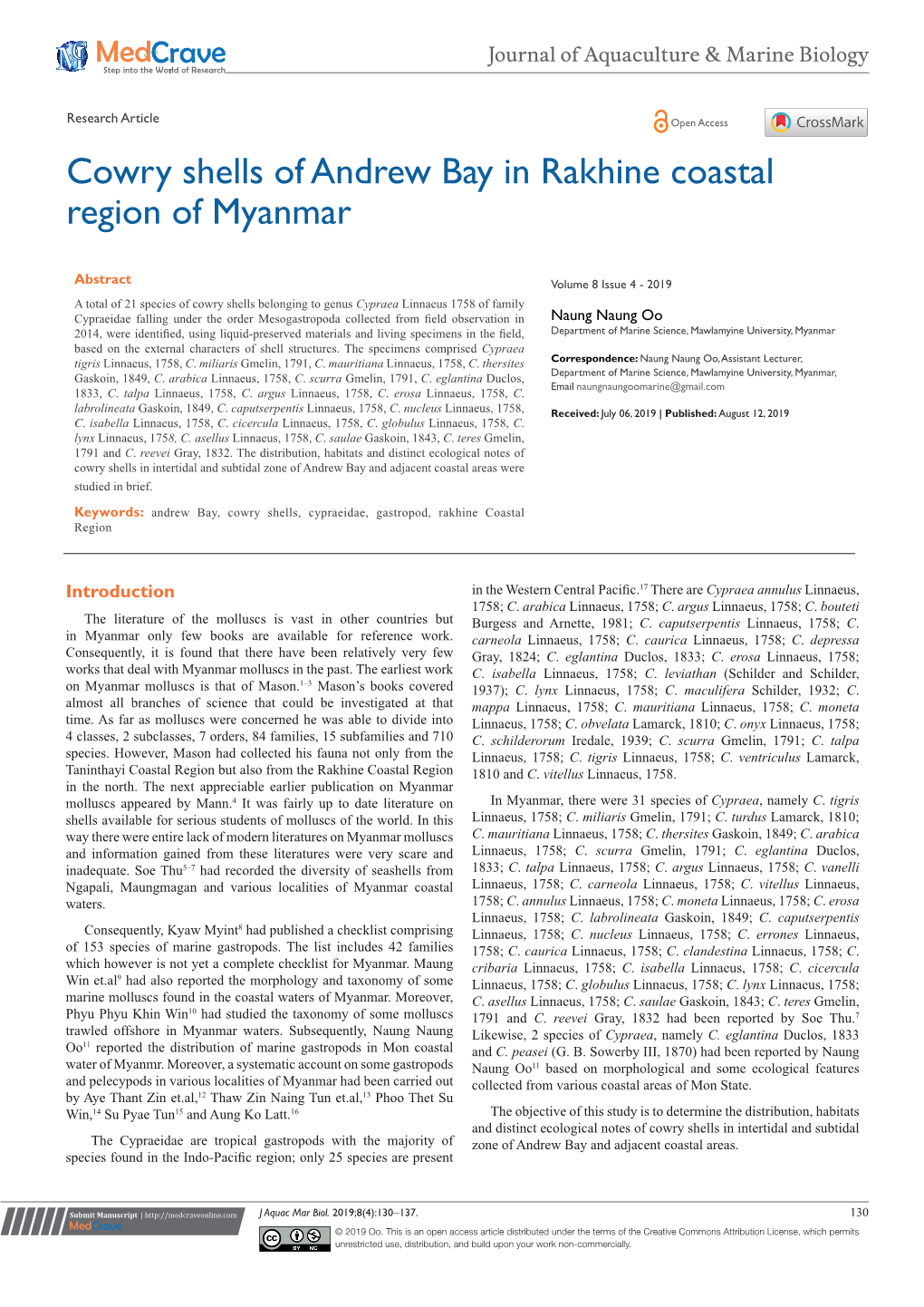 Cowry Shells of Andrew Bay in Rakhine Coastal Region of Myanmar