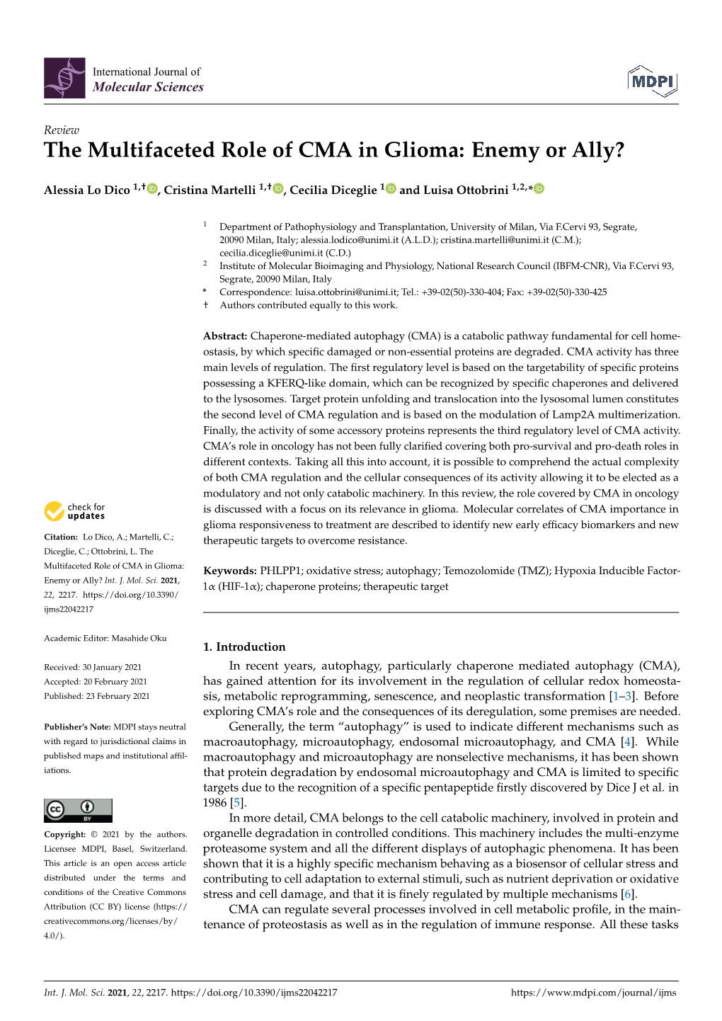 The Multifaceted Role of CMA in Glioma: Enemy Or Ally?