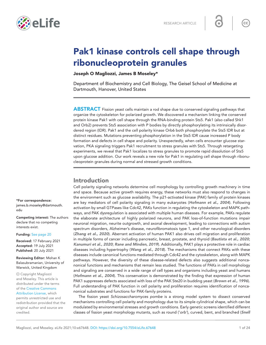 Pak1 Kinase Controls Cell Shape Through Ribonucleoprotein Granules Joseph O Magliozzi, James B Moseley*