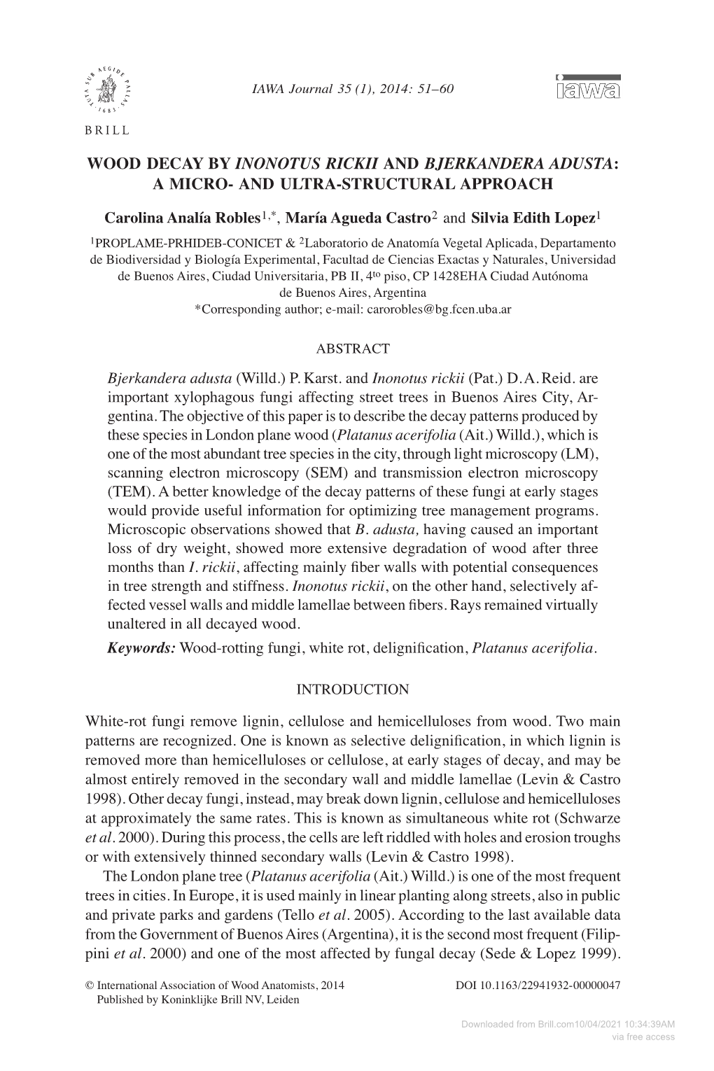 Wood Decay by Inonotus Rickii and Bjerkandera Adusta: a Micro- and Ultra-Structural Approach