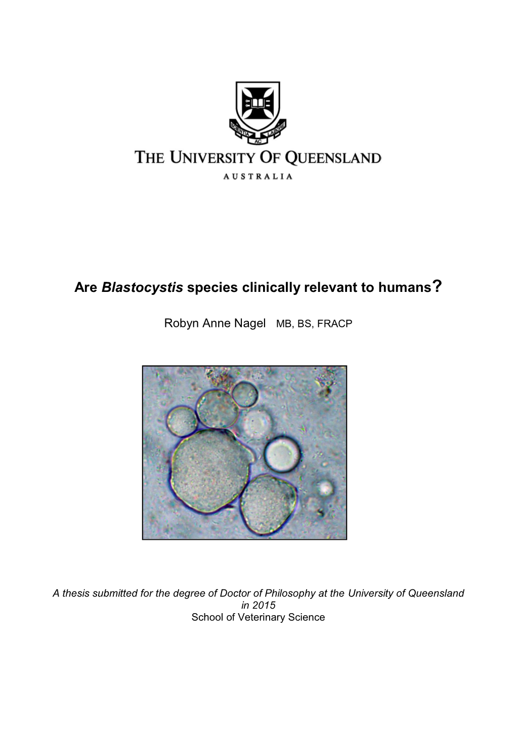 Are Blastocystis Species Clinically Relevant to Humans?