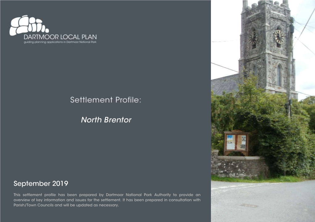 North Brentor Settlement Profile