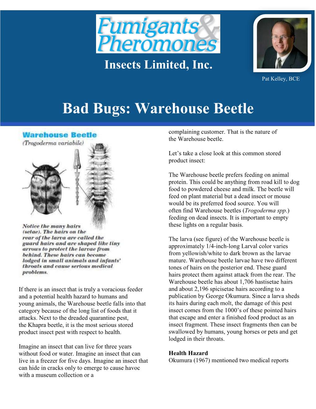 Bad Bugs: Warehouse Beetle