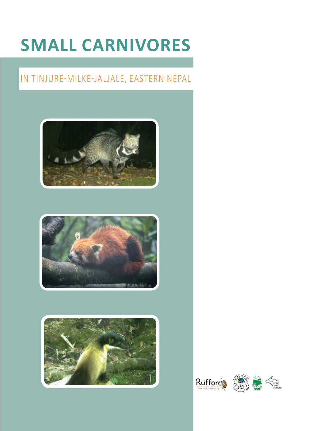 Small Carnivores in Tinjure-Milke-Jaljale, Eastern Nepal