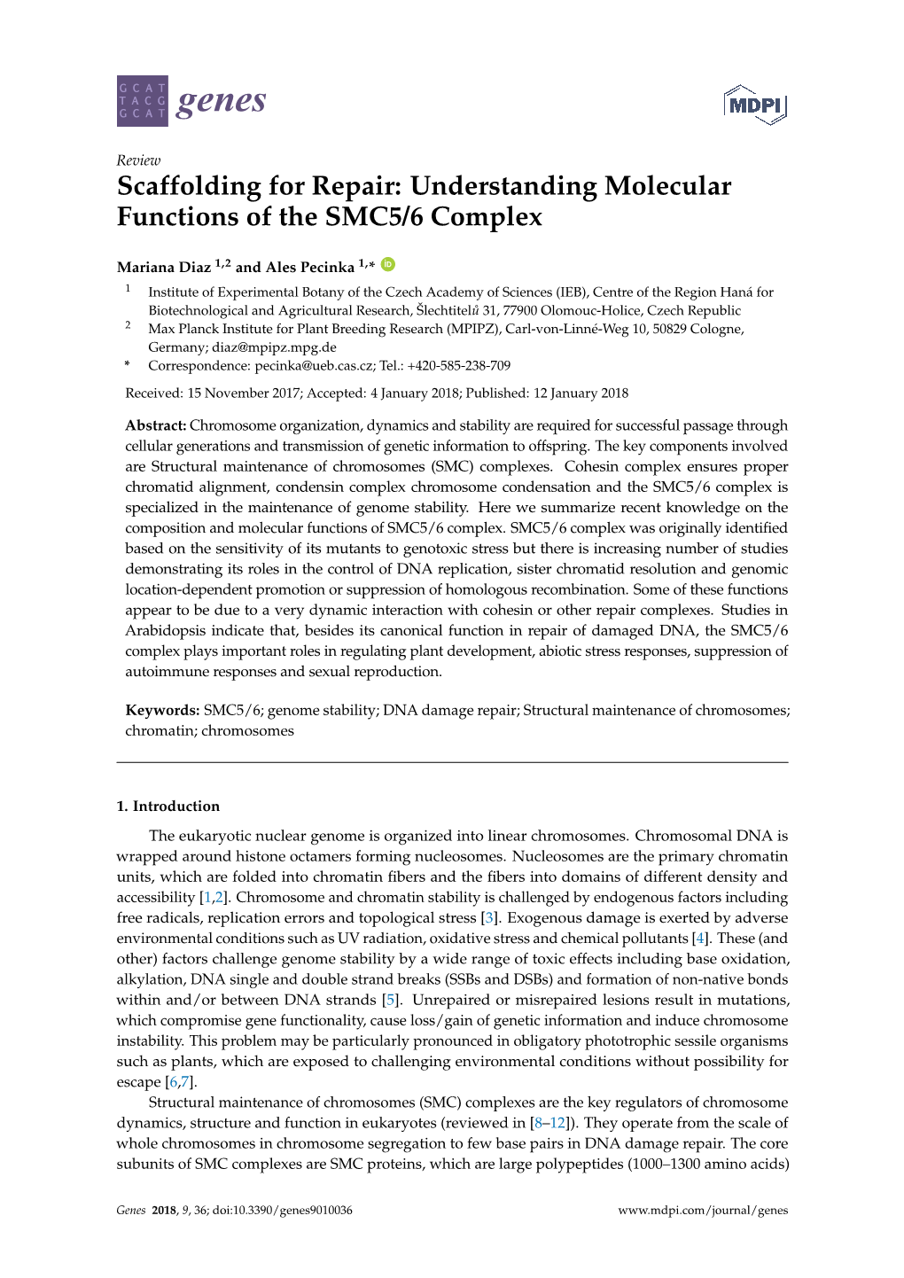 Understanding Molecular Functions of the SMC5/6 Complex