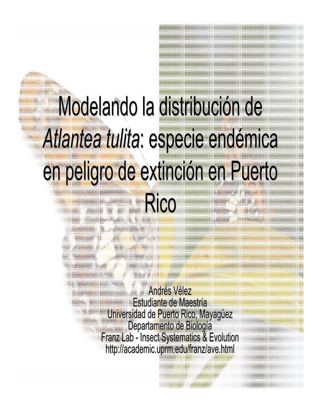 Modelando La Distribución De Atlantea Tulita : Especie Endémica En Peligro