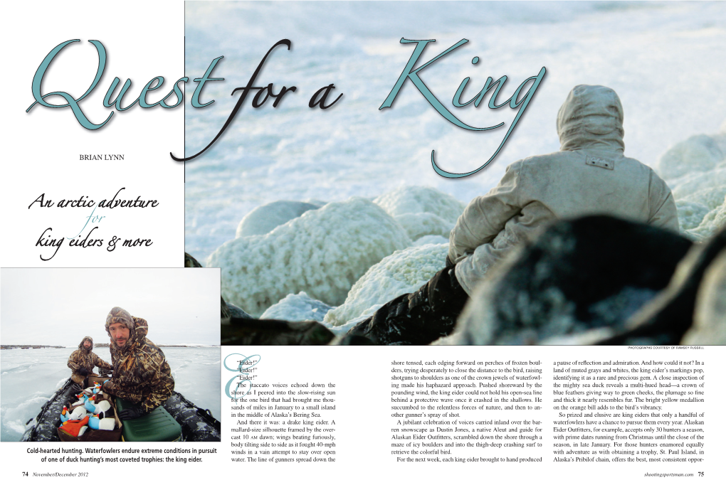 Alaska King Eider Hunting Story Quest for a King