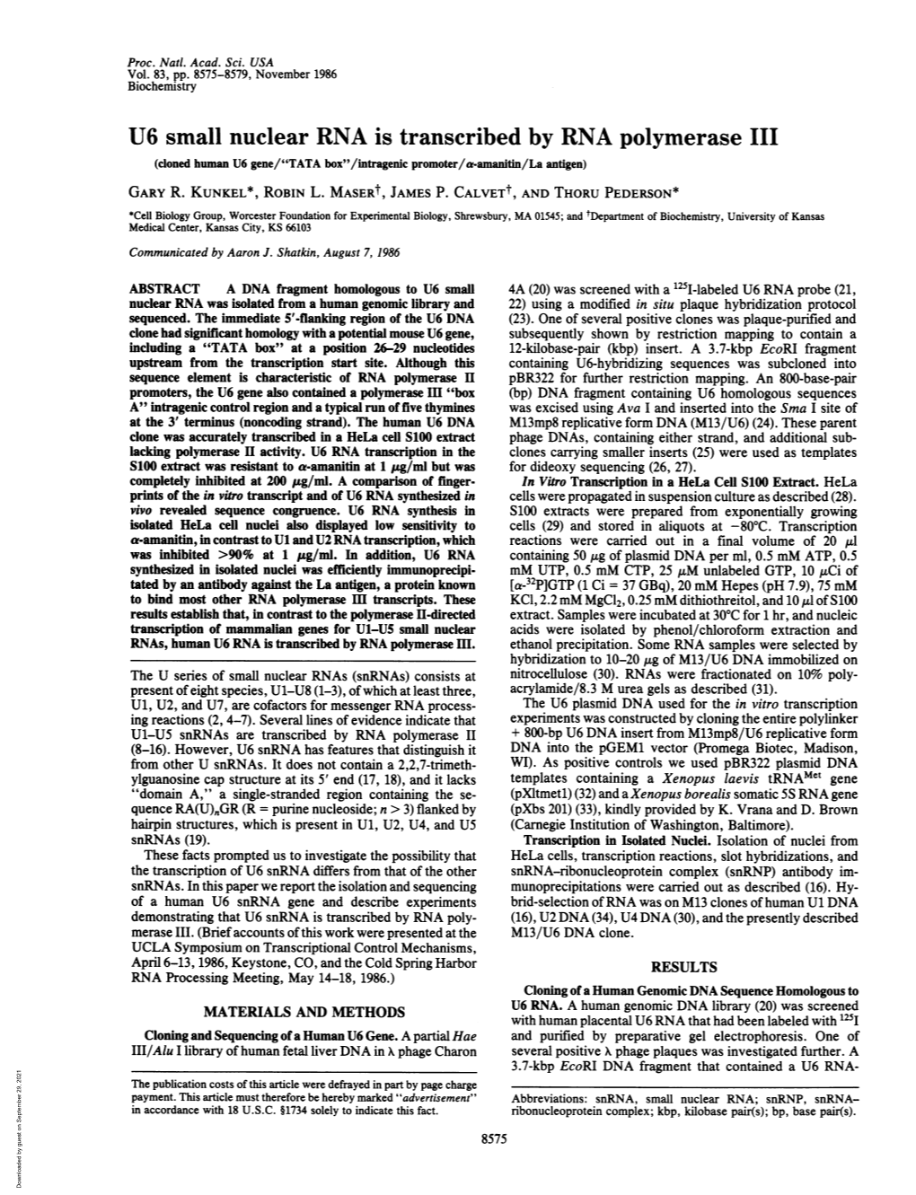 U6 Small Nuclear RNA Is Transcribed by RNA Polymerase III (Cloned Human U6 Gene/