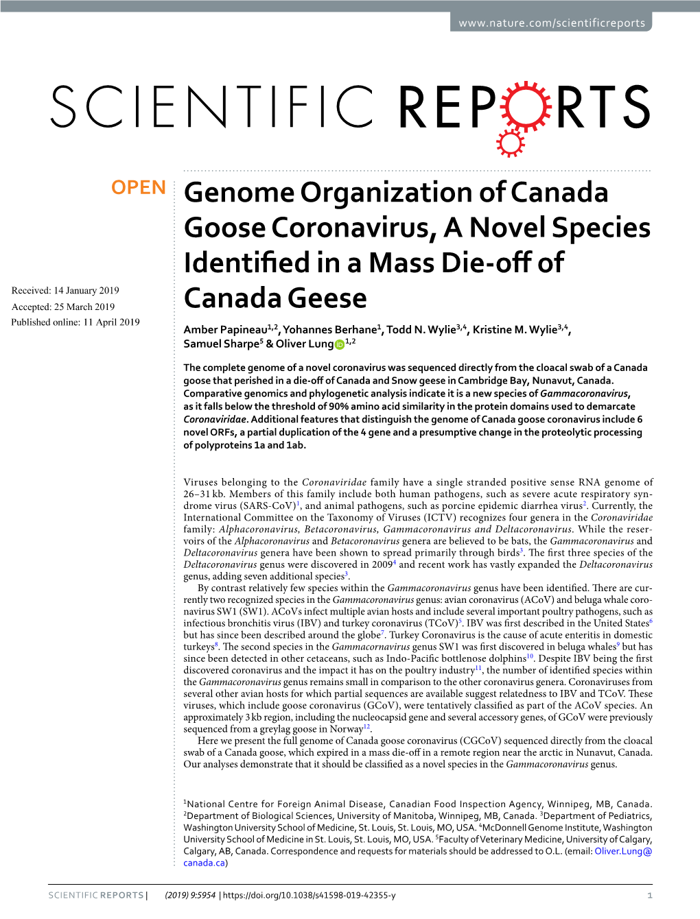 Genome Organization of Canada Goose Coronavirus, a Novel