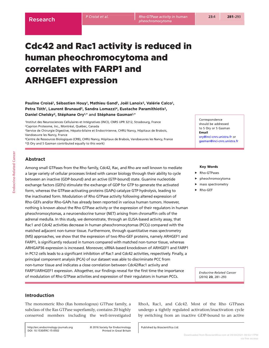 Cdc42 and Rac1 Activity Is Reduced in Human Pheochromocytoma and Correlates with FARP1 and ARHGEF1 Expression