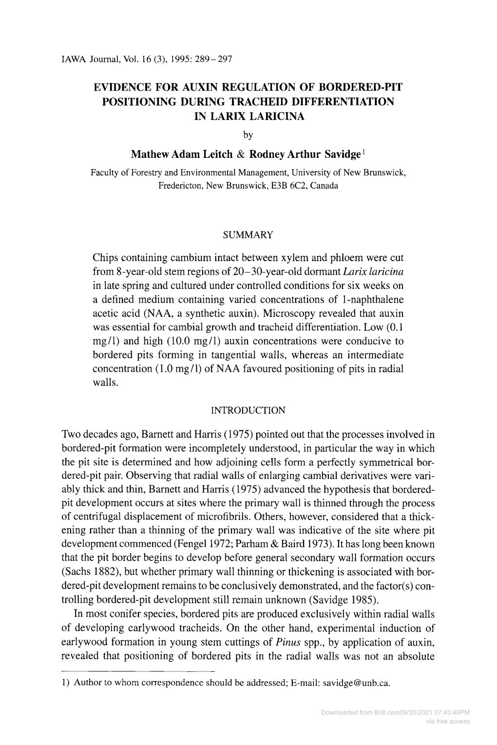 EVIDENCE for AUXIN REGULATION of BORDERED-PIT POSITIONING DURING TRACHEID DIFFERENTIATION in LARIX LARICINA By