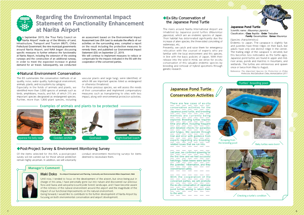 Regarding the Environmental Impact Statement on Functionality