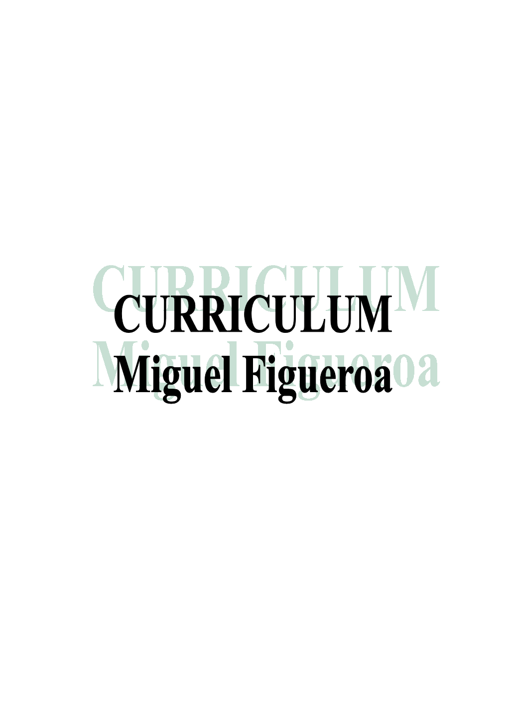 Miguel-Figueroa.Pdf (99.95Kb)