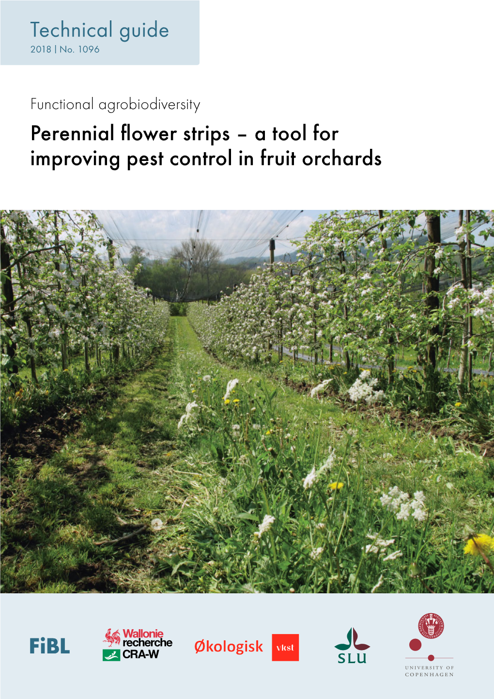 5.7 MB Perennial Flower Strips – a Tool for Improving Pest Control in Fruit