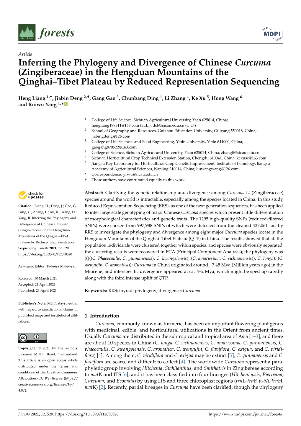 Inferring the Phylogeny and Divergence of Chinese Curcuma (Zingiberaceae) in the Hengduan Mountains of the Qinghai–Tibet Plateau by Reduced Representation Sequencing