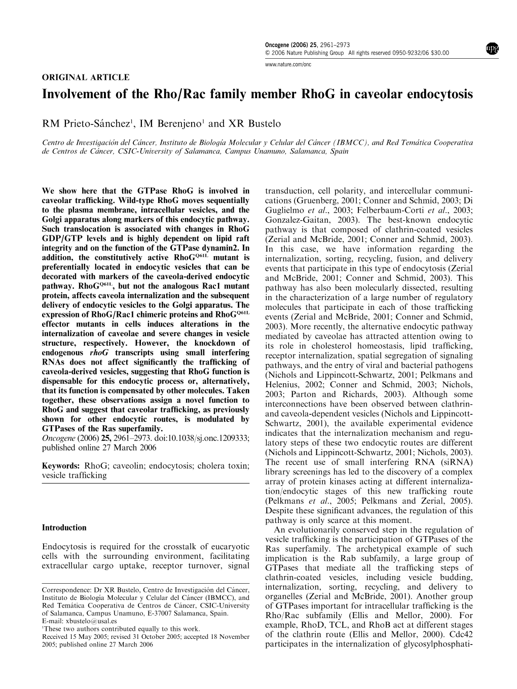 Involvement of the Rho/Rac Family Member Rhog in Caveolar Endocytosis