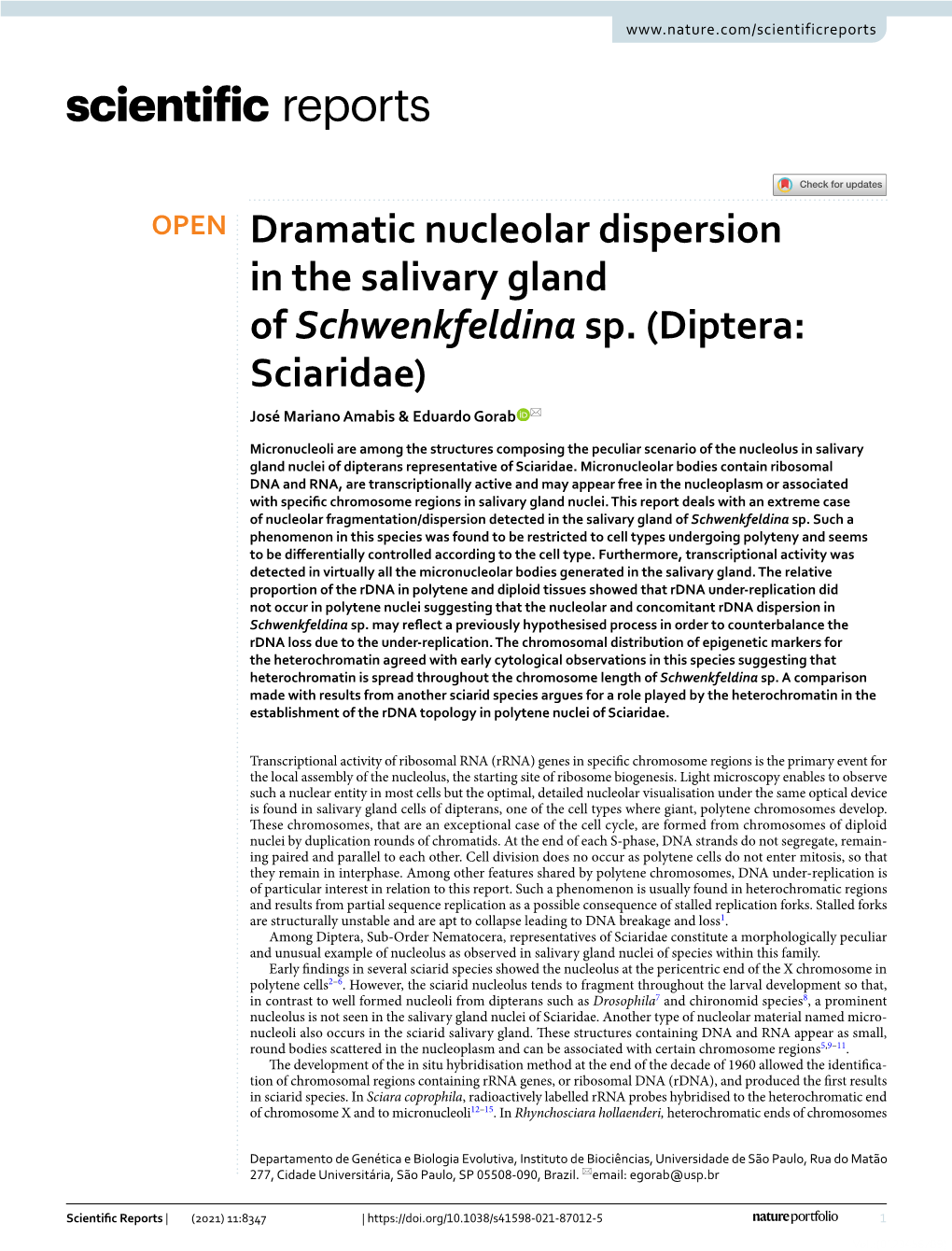 Dramatic Nucleolar Dispersion in the Salivary Gland of Schwenkfeldina Sp