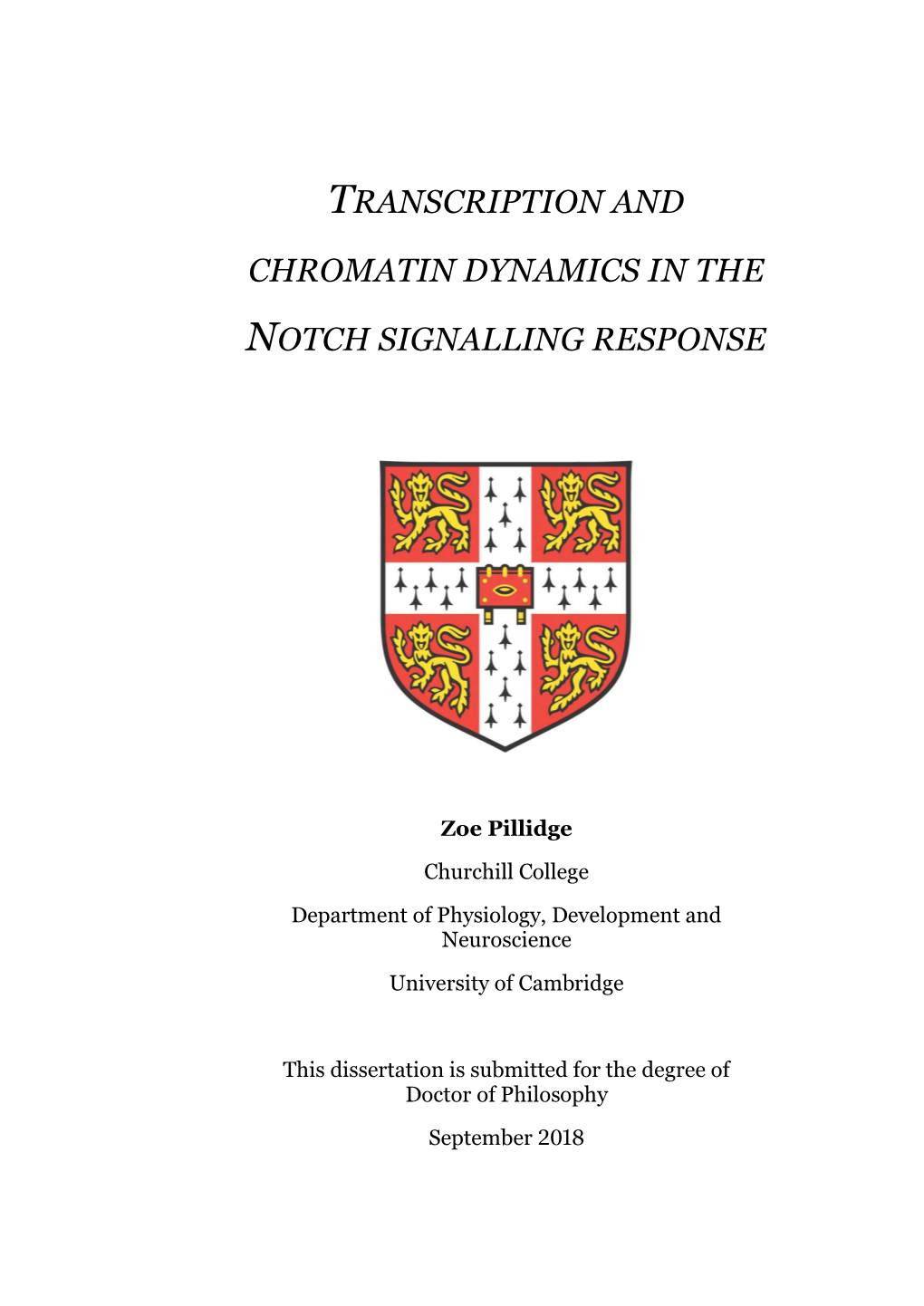 Chromatin Dynamics in The