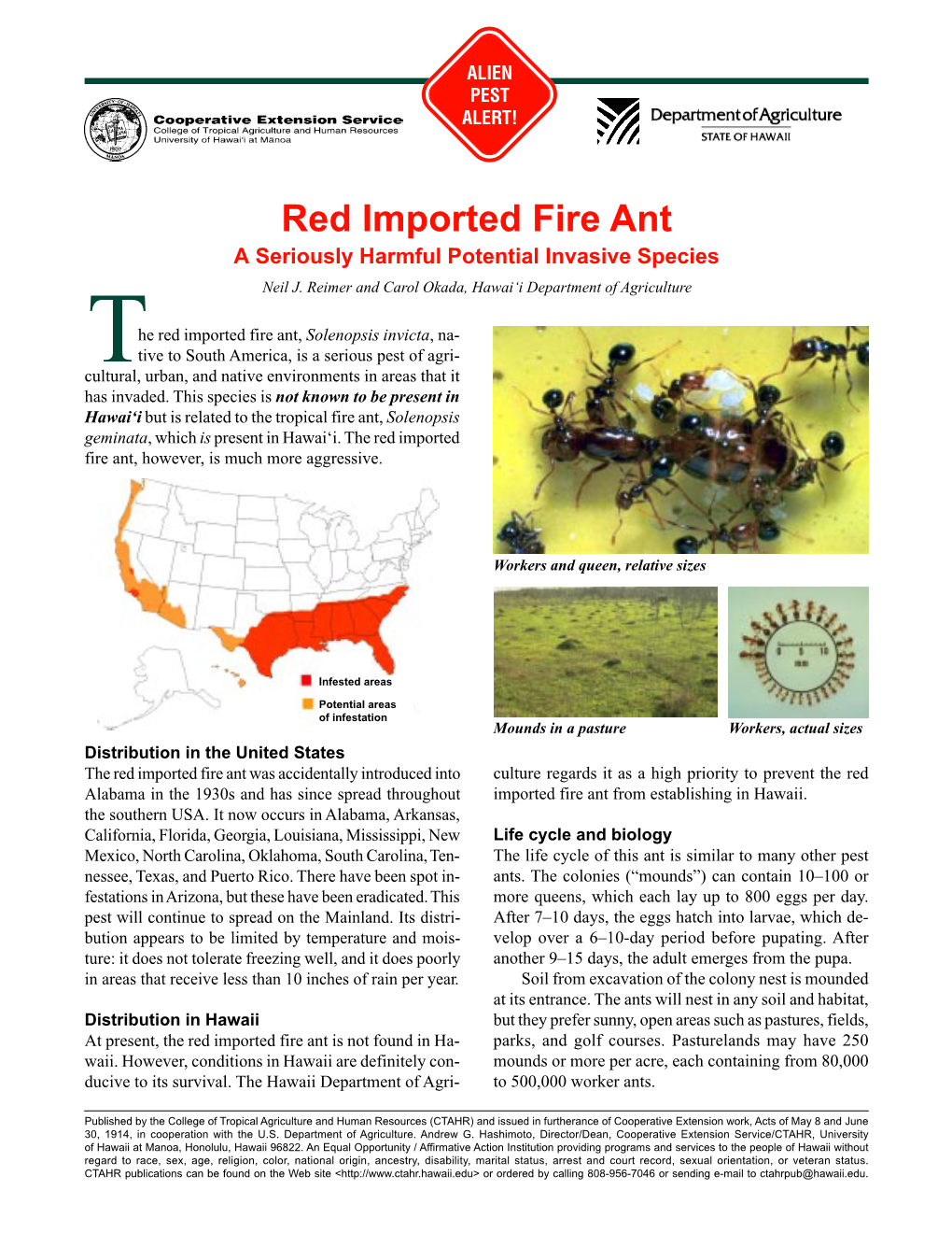 Ant, Red Imported Fire