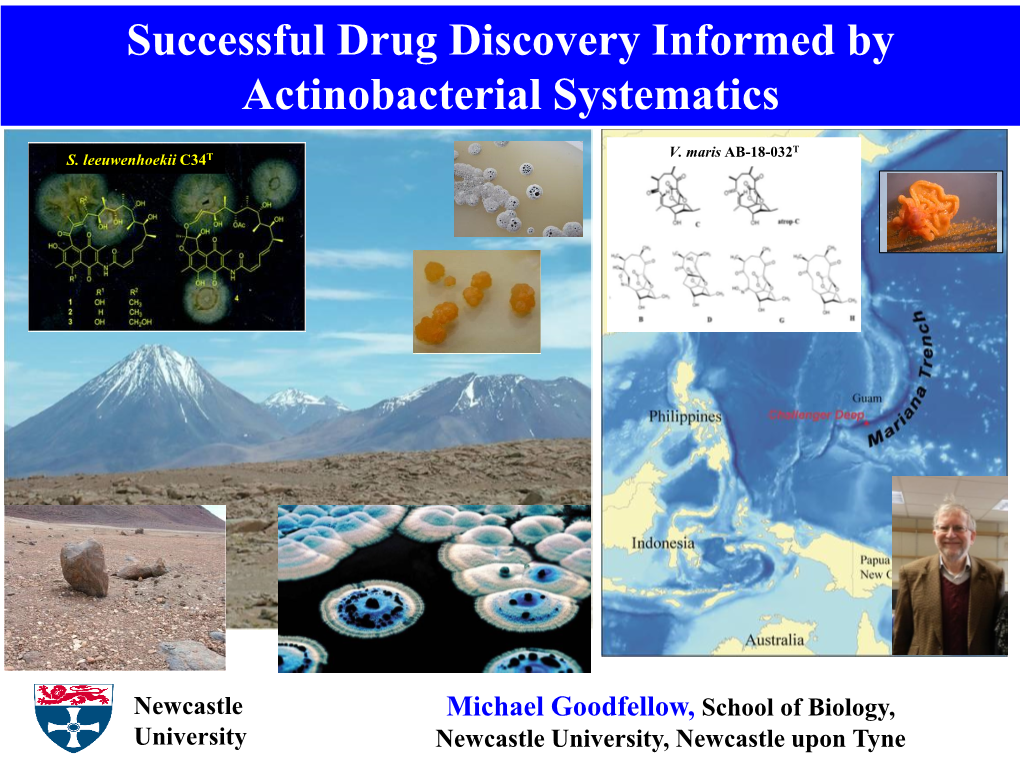 Successful Drug Discovery Informed by Actinobacterial Systematics