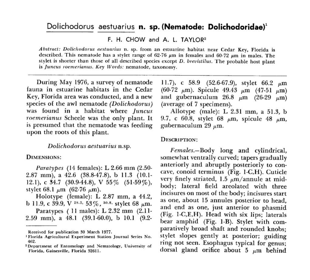 Dolichodorus Aestuarius N. Sp. (Nematode: Dolichodoridae) 1