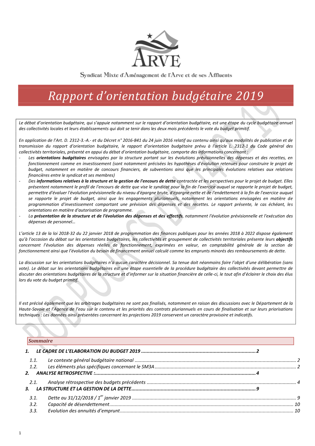 Rapport D'orientation Budgétaire 2019