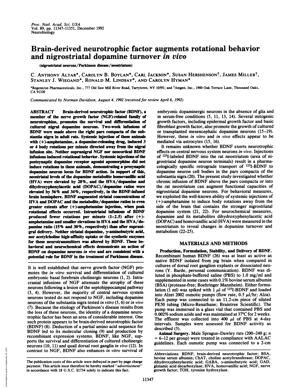 Brain-Derived Neurotrophic Factor Augments Rotational Behavior and Nigrostriatal Dopamine Turnover in Vivo (Nigrostratal Neurons/Parknon Dsease/Neostratum) C