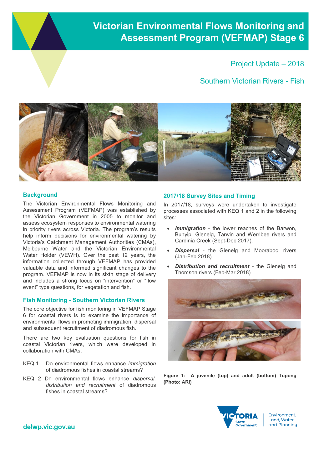 Victorian Environmental Flows Monitoring and Assessment Program (VEFMAP) Stage 6