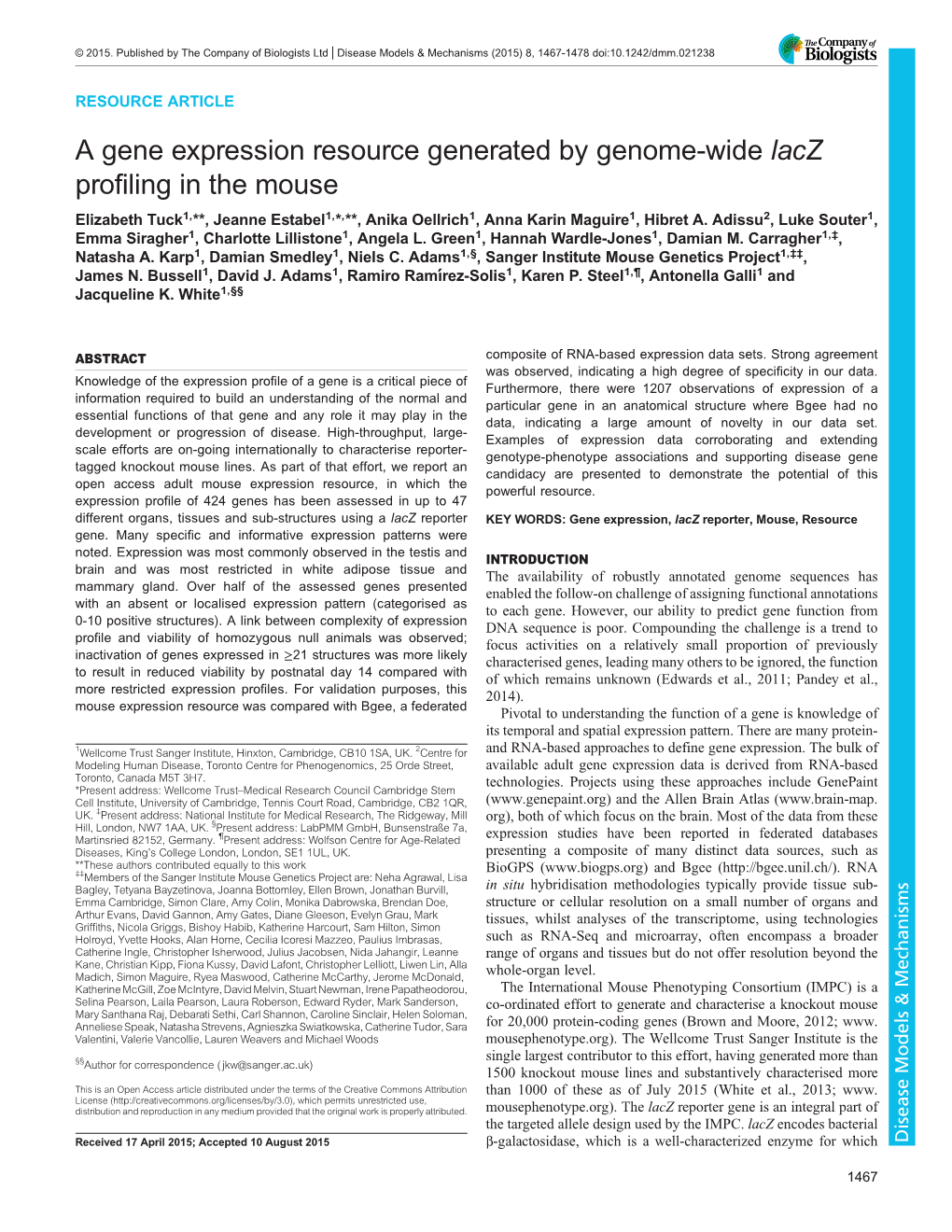A Gene Expression Resource Generated by Genome-Wide Lacz