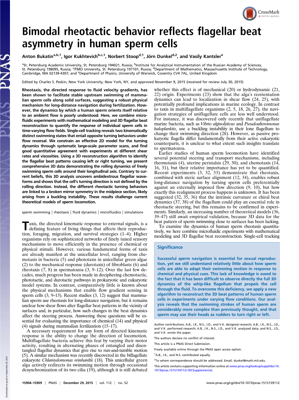 Bimodal Rheotactic Behavior Reflects Flagellar Beat Asymmetry in Human Sperm Cells