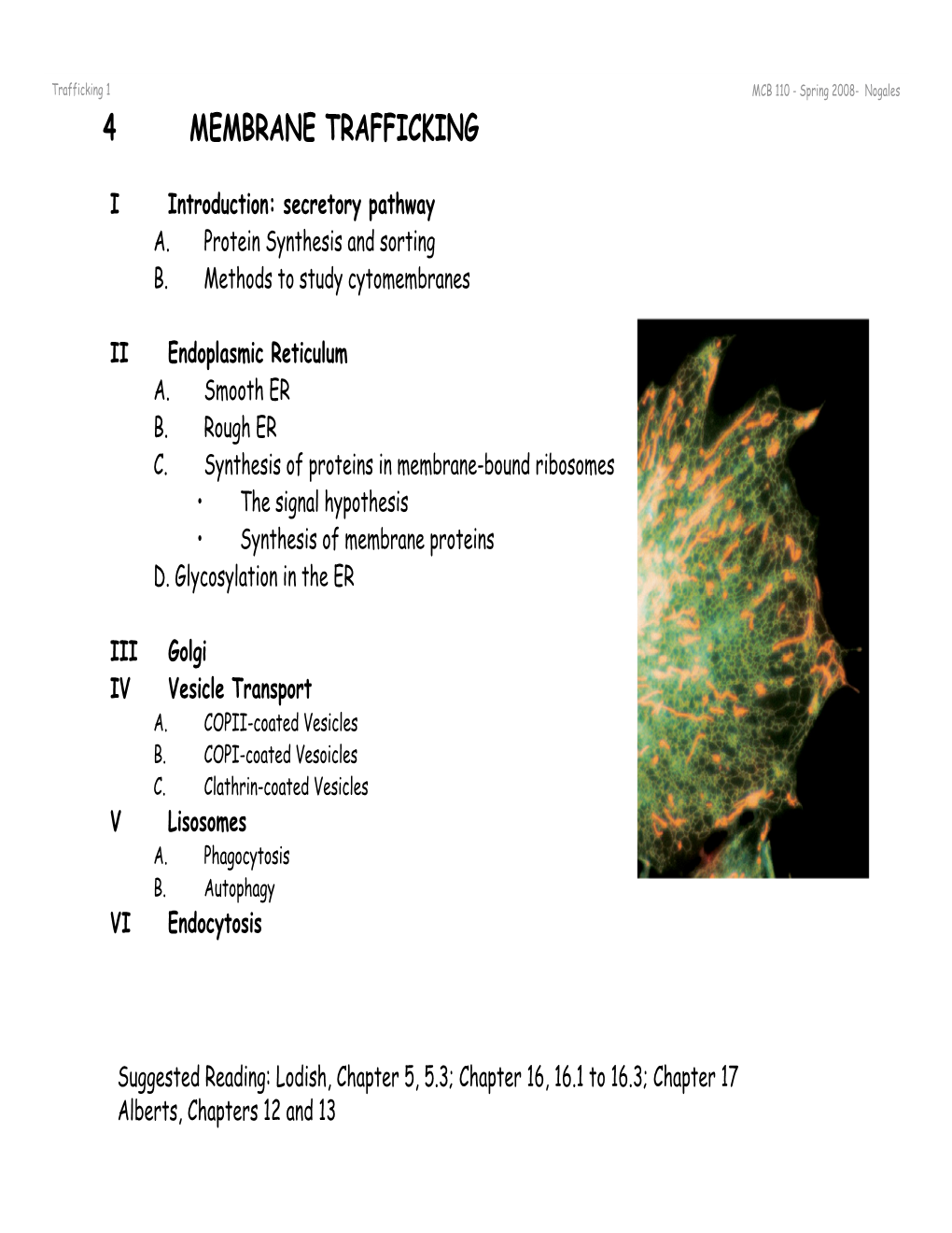 4 Membrane Trafficking