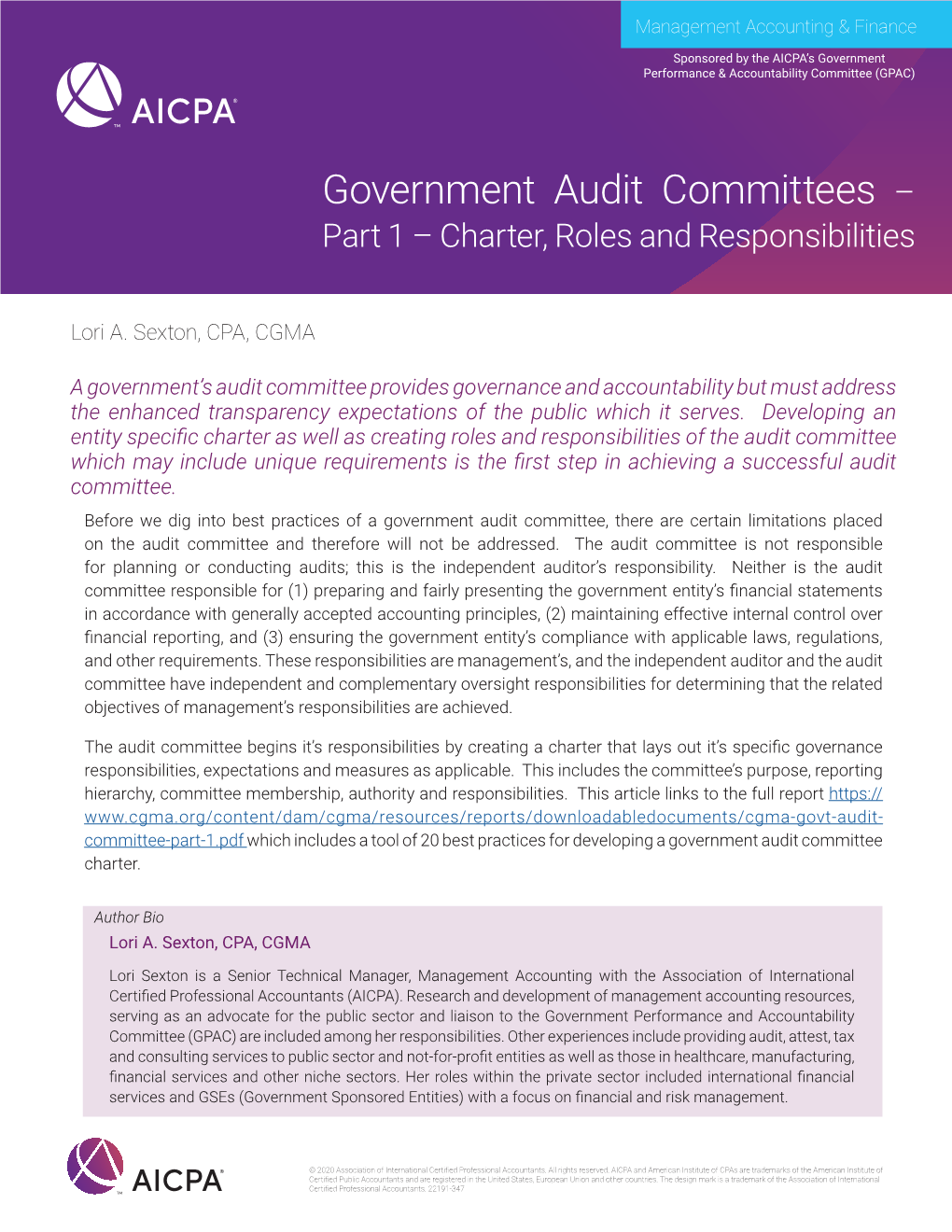 Government Audit Committees – Part 1 – Charter, Roles and Responsibilities