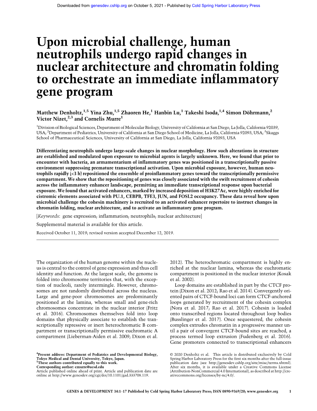 Upon Microbial Challenge, Human Neutrophils Undergo Rapid Changes in Nuclear Architecture and Chromatin Folding to Orchestrate an Immediate Inflammatory Gene Program