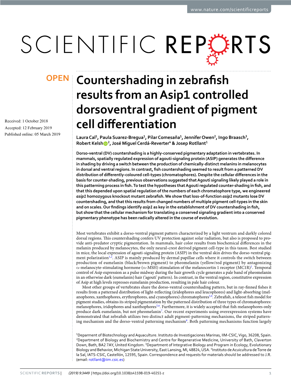 Countershading in Zebrafish Results from an Asip1 Controlled